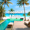 palm